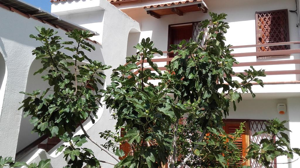 Villa Modus Vivendi Cinisi Exterior photo